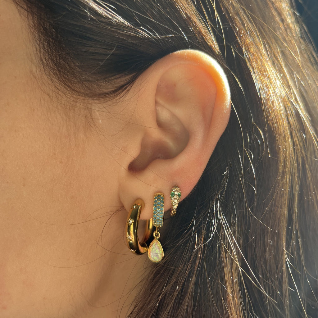 Snake Hoops